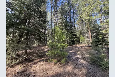 Cardinal Drive #4, Bonanza, OR 97623 - Photo 21