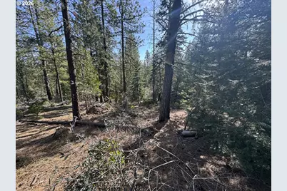 Cardinal Drive #4, Bonanza, OR 97623 - Photo 13