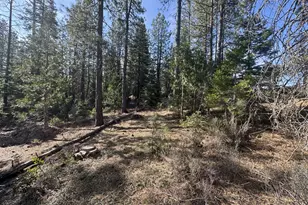 Cardinal Dr, Bonanza, OR 97623 - Photo 1