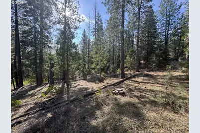 Cardinal Drive #4, Bonanza, OR 97623 - Photo 3