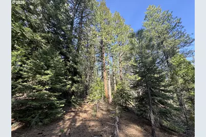 Cardinal Drive #4, Bonanza, OR 97623 - Photo 25