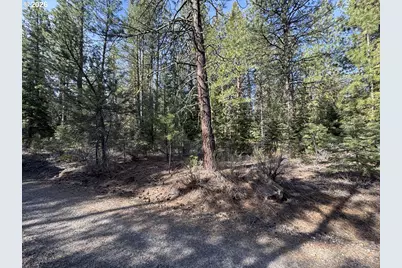 Cardinal Drive #4, Bonanza, OR 97623 - Photo 41