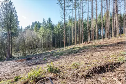 0 Bunker Hill Rd #B, Longview, WA 98632 - Photo 15