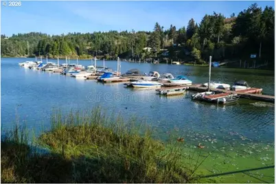 850 Raechel Rd, Lakeside, OR 97449 - Photo 47