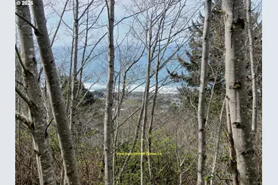 17 Gimlet Ln, Yachats, OR 97498 - Photo 11