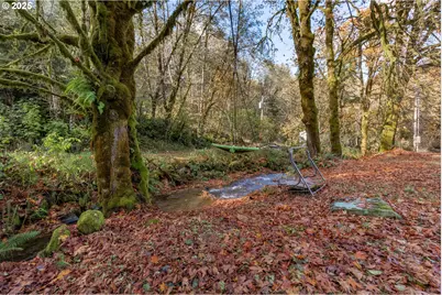 36200 Big Trout Rd, Hebo, OR 97122 - Photo 7