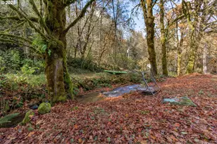 36200 Big Trout Rd, Hebo, OR 97122 - Photo 7