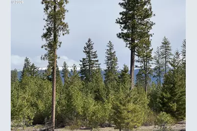 85 Mule Run Rd, Goldendale, WA 98620 - Photo 13