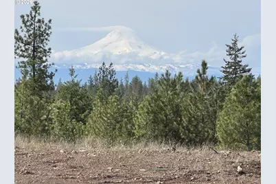 85 Mule Run Rd, Goldendale, WA 98620 - Photo 3