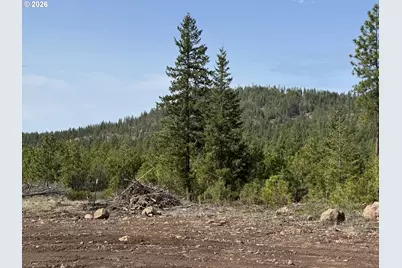 85 Mule Run Rd, Goldendale, WA 98620 - Photo 11