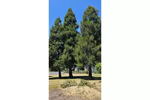 220 Wild River Dr, Roseburg, OR 97470 - Photo 43