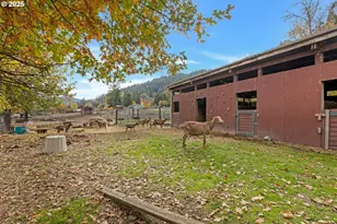 624 Willis Creek Rd, Winston, OR 97496 - Photo 35