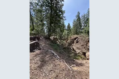 Sparta Rd, Baker City, OR 97814 - Photo 11