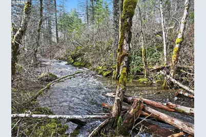 51 Foster Rd, Carson, WA 98610 - Photo 39