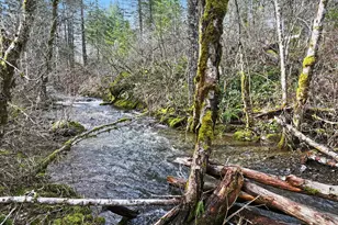 51 Foster Rd, Carson, WA 98610 - Photo 39