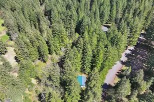 51 Foster Rd, Carson, WA 98610 - Photo 45