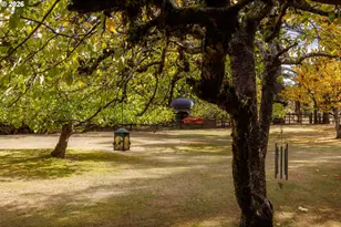 34817 Matthews Rd, Eugene, OR 97405 - Photo 23