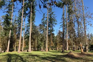 34817 Matthews Rd, Eugene, OR 97405 - Photo 37