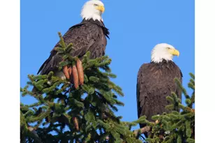 34326 Johnson's Landing Rd, Scappoose, OR 97056 - Photo 37