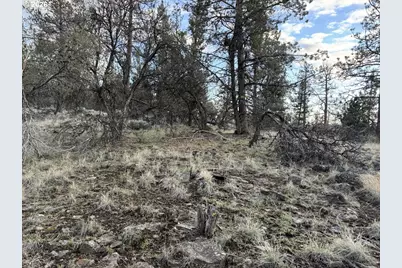 Prarie Dog Dr #13 POR, Bonanza, OR 97623 - Photo 41