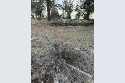 Prarie Dog Dr #13 POR, Bonanza, OR 97623 - Photo 45