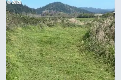 54210 Old Broadbent Rd, Myrtle Point, OR 97458 - Photo 27