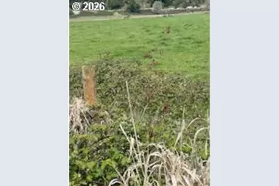 54210 Old Broadbent Rd, Myrtle Point, OR 97458 - Photo 29