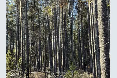 Artesian Dr #6, Chiloquin, OR 97624 - Photo 13