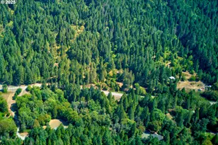 1160 Louis Creek Rd, Myrtle Creek, OR 97457 - Photo 43