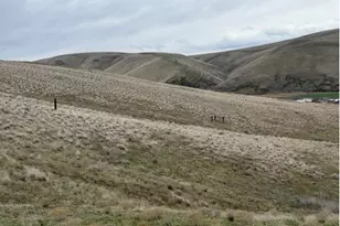 Mary Ln, Ione, OR 97843 - Photo 1