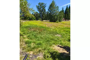 57510 S Morse Rd, Warren, OR 97053 - Photo 5