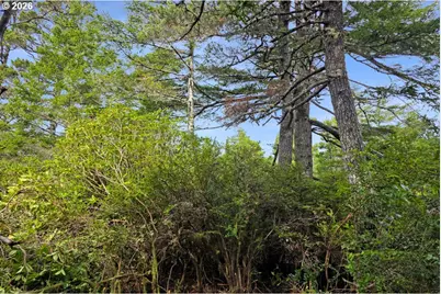 Wood Lake Way, Florence, OR 97439 - Photo 21