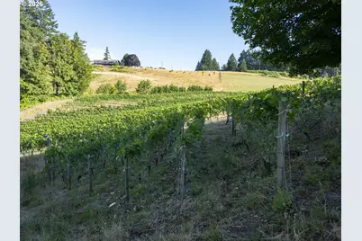 21360 SW Hillsboro Hwy, Newberg, OR 97132 - Photo 7
