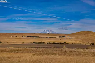 1602 Centerville Hwy, Centerville, WA 98613 - Photo 19