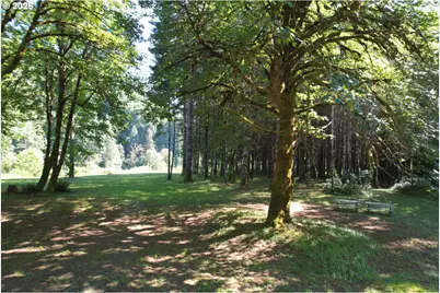 28593 Lower Smith River Rd, Reedsport, OR 97467 - Photo 5