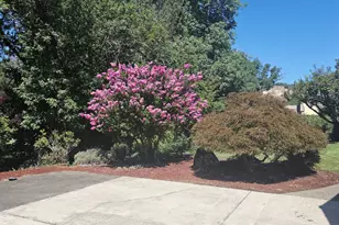 549 Bailey Dr, Roseburg, OR 97471 - Photo 21