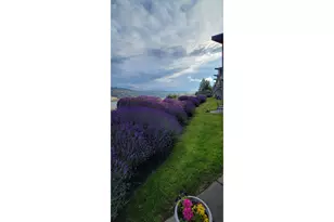 14 Mosier Creek Pl, Mosier, OR 97040 - Photo 3