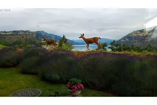 14 Mosier Creek Pl, Mosier, OR 97040 - Photo 17