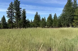 455 Old Mountain Rd, Goldendale, WA 98620 - Photo 39