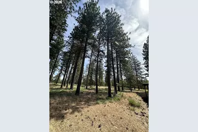 455 Old Mountain Rd, Goldendale, WA 98620 - Photo 33