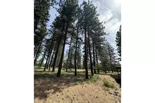 455 Old Mountain Rd, Goldendale, WA 98620 - Photo 33