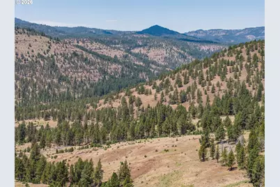 N Hwy 395, Mount Vernon, OR 97865 - Photo 39