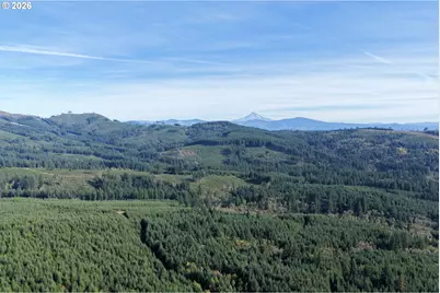 33827 NE Lessard Rd, Camas, WA 98607 - Photo 29