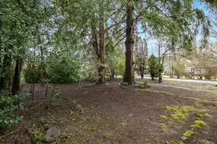 336 N 5th St, Carlton, OR 97111 - Photo 41