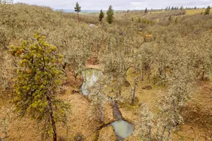 12 Mount Adams View Rd, Lyle, WA 98635 - Photo 41