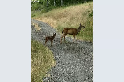 12 Mt Adams View Rd, Lyle, WA 98635 - Photo 45