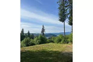 126 Sugar Pine Pl, Mossyrock, WA 98564 - Photo 7