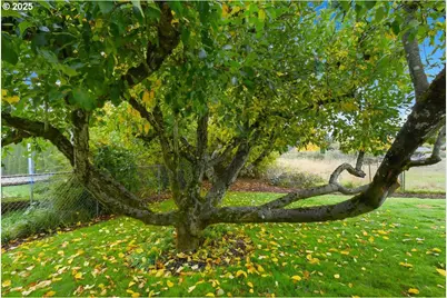 9105 NE 68th St, Vancouver, WA 98662 - Photo 29