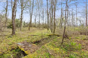 32010 SE Hinman Ave, Estacada, OR 97023 - Photo 31