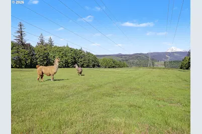 50995 SE Baty Rd, Sandy, OR 97055 - Photo 43